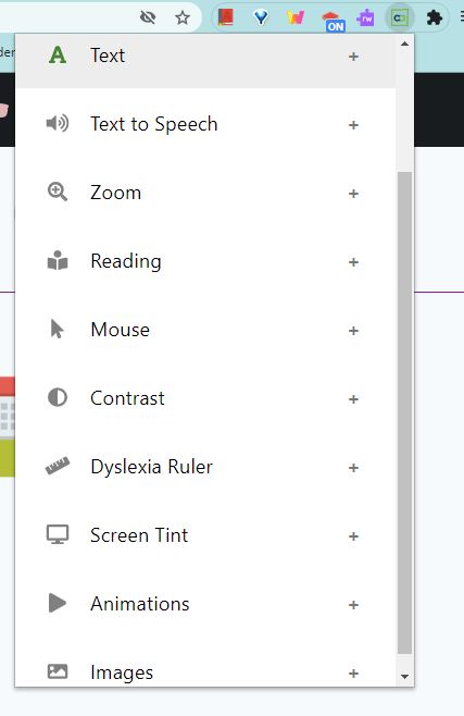 The menu in the accessibility chromestore add on.