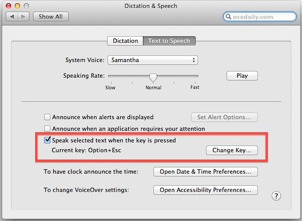 text to speech options in a mac like voice and voice speed.