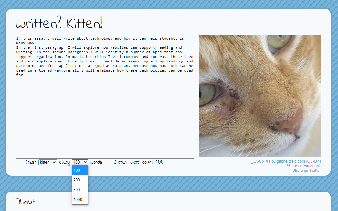 Written kitten website and how it has simple features to promote motivation when writing like word goals.