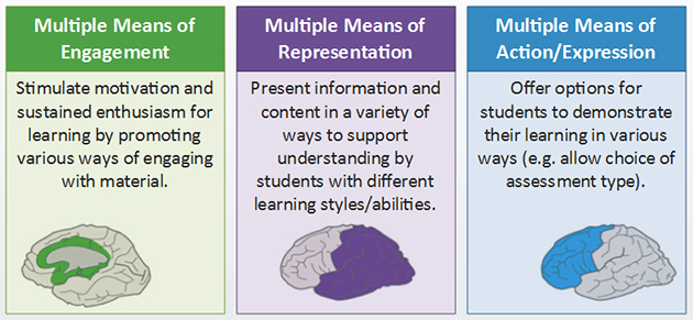 An image showing which parts of the brain are stimulated by multiple means of engagement, representation and action and expression  