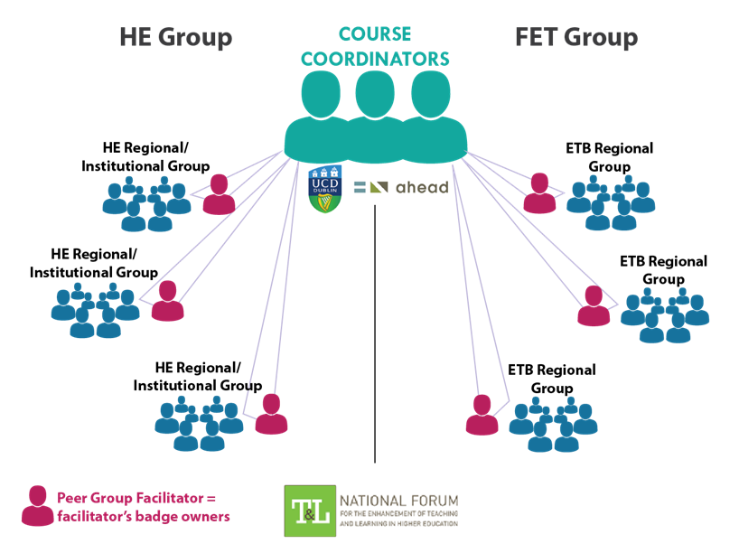 National Roll Out – Big Picture. Image shows the digital badge model with AHEAD and UCD conducting centralised delivery of the course, and local Peer Group Facilitators managing local groups in regional higher education institutions or ETB regions.