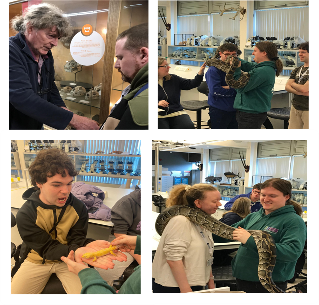 Montage of photo's taken in the Zoology dept