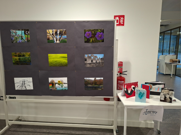 Photography project display
