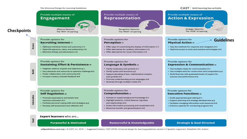 This is an image outlining the UDL Framework (CAST 2018) http://udlguidelines.cast.org 