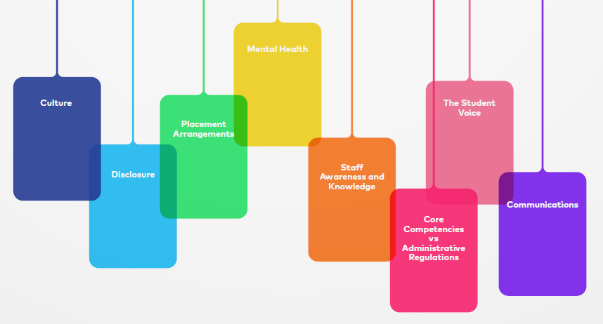 This image presents, in the form of brightly coloured boxes, some of the main themes found when the data was analysed. The themes listed are culture, disclosure, placement arrangements, mental health, staff awareness and knowledge, core competencies vs administrative regulations, and communications. 