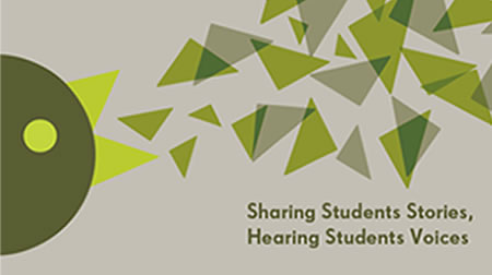 Training: Student Voices - the next step? (2012)